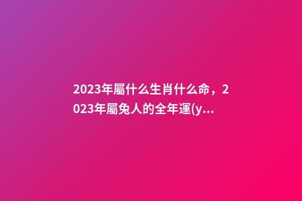 2023年屬什么生肖什么命，2023年屬兔人的全年運(yùn)勢(shì)詳解 猴年2023年運(yùn)勢(shì)及運(yùn)程-第1張-觀點(diǎn)-玄機(jī)派
